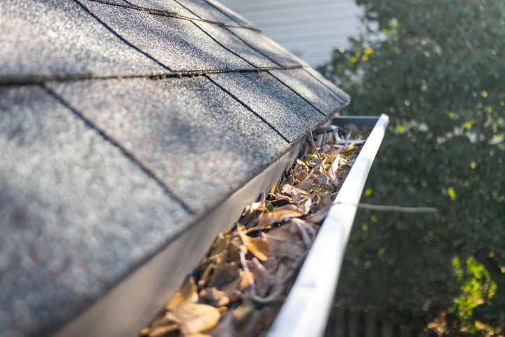 Clogged rain gutter filled with leaves and debris, causing water overflow issues in Salt Lake City