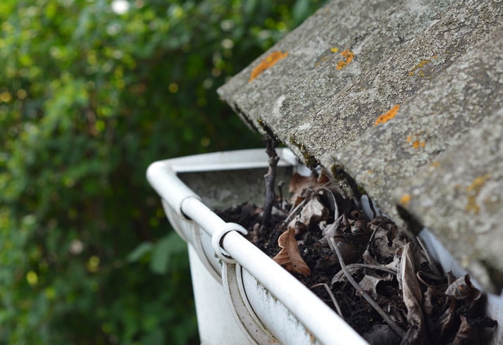 A dirty gutter filled with leaves, showing the need for cleaning and maintenance in Salt Lake City