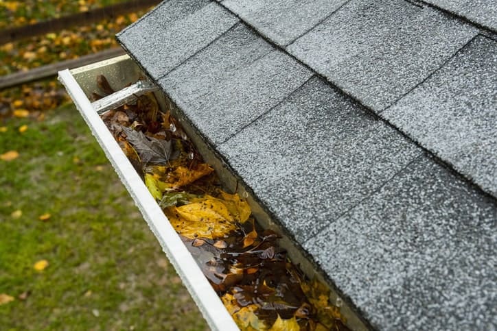 Gutter packed with leaves and water pooling, showing a clogged downspout in Salt Lake City, Utah 